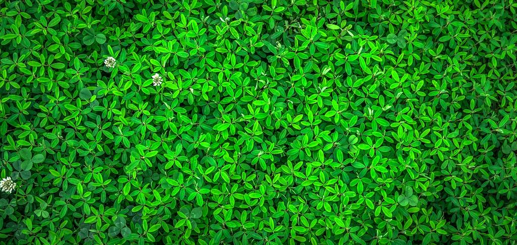 Coș cu produse eco prietenoase cu mediul